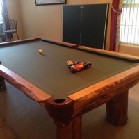 Log Style Table With Ping Pong Top