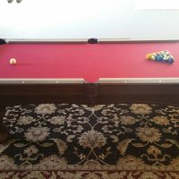 Red Pool table Olhausen